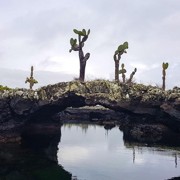 остров Тинторерас лава