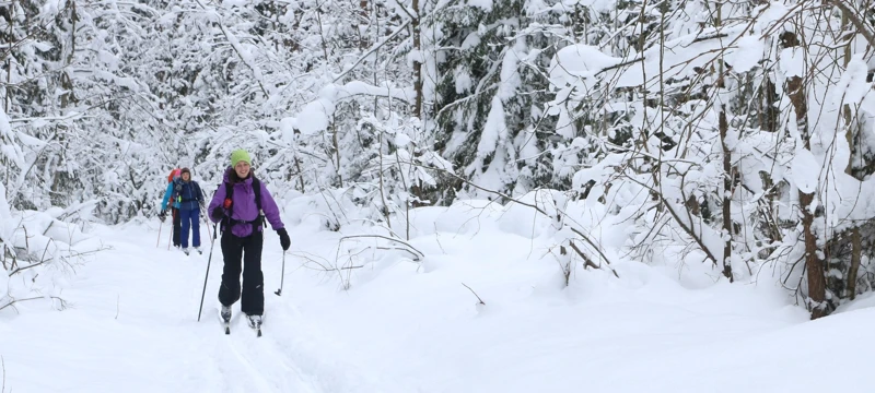 В поисках снежного человека или семейный лыжный однодневный поход в Лемболово (5+) поход