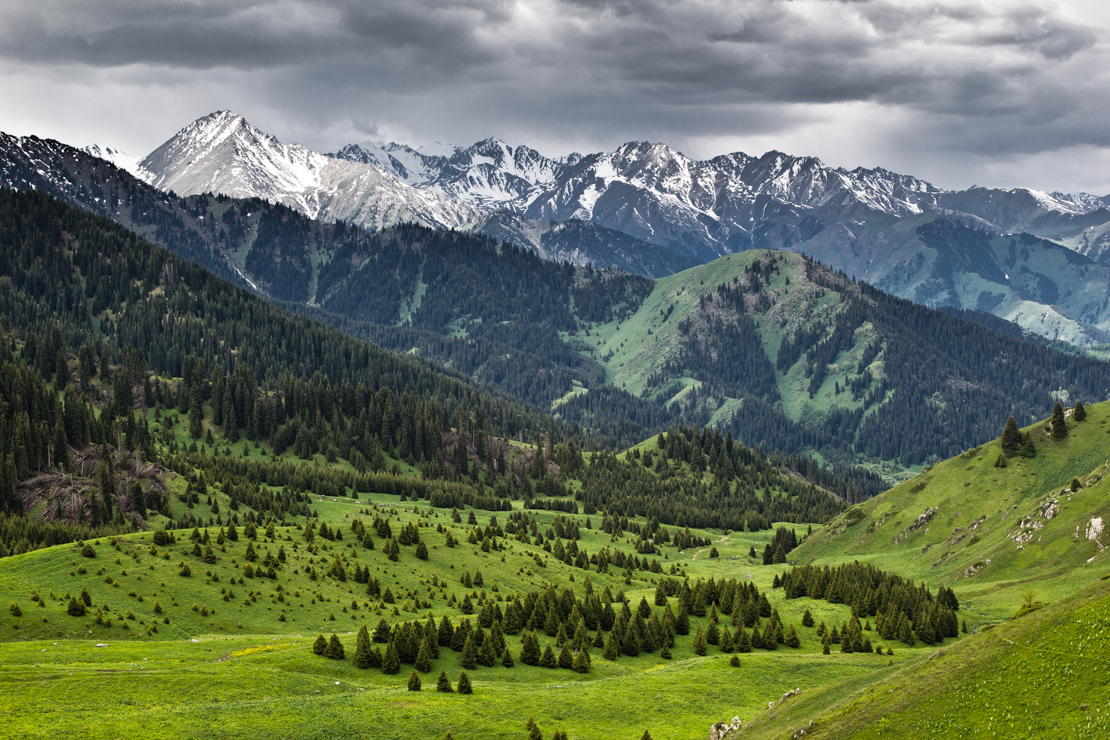 Долина Кок-Жейляу в Казахстане